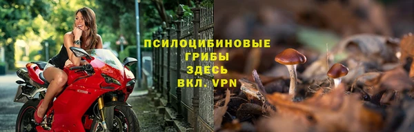 прущий лед Бородино