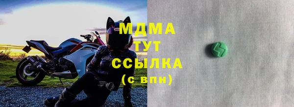 прущий лед Бородино