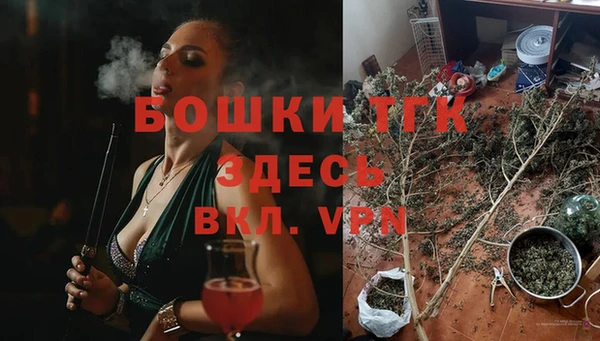 PSILOCYBIN Бронницы