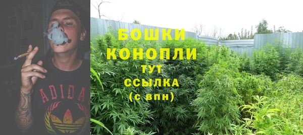 PSILOCYBIN Бронницы