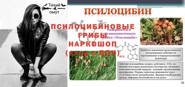 PSILOCYBIN Бронницы