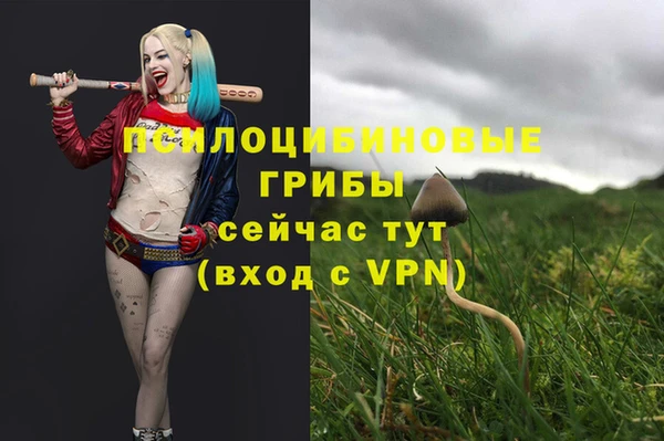 ECSTASY Бугульма