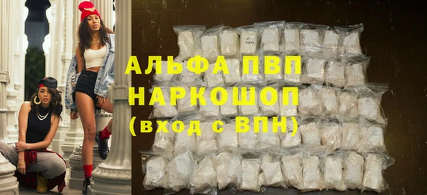 прущий лед Бородино