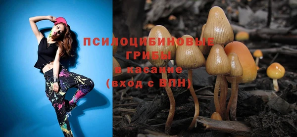 PSILOCYBIN Бронницы